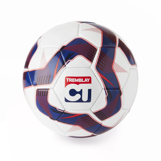 Ballon football TRAINING Taille 5